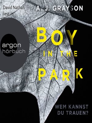 cover image of Boy in the Park--Wem kannst du trauen? (Autorisierte Lesefassung)
